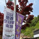 문경가구&인테리어 | 문경새재 카페 트리밤 감성카페 솔직후기