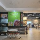 맥스사우나 이미지