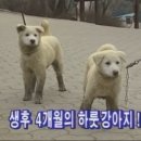 없음 - 17663 | 없음
