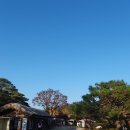 화기리인동장씨종택 | 영주 선비촌의 가을 단풍이 있는 풍경