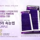 래쉬엔젤 이미지