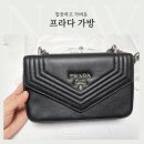 럭스그레이스 이미지