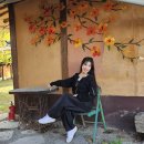 청라스포츠 Daum카페