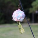 엣지있개 이미지