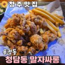 말자싸롱용정점