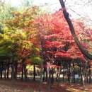 방화근린공원 이미지