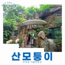 모퉁이갤러리카페 | 부암동 가볼만한곳 산모퉁이 전망 카페 후기