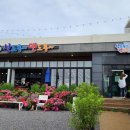 산도롱 | 제주 성산 고기국수 산도롱맨도롱 후기