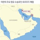 250 이미지