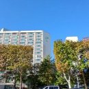 동일초등학교앞 정류장 주변 이미지