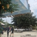 거창큐마트 이미지