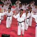 반딧불태권도장 이미지