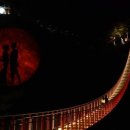 신비부동산공인중개사사무소 이미지