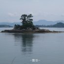 금산선착장 이미지