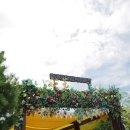 곡성기차당 뚝방마켓 이미지