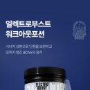 일렉트로부스트