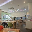 둔산중로-27 | 샐러드와 초밥으로 즐기는 건강한 한 끼 (샐나인 방문후기)