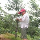 광석농장 이미지