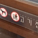 계고기집 이미지