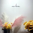 참바다숯불꼼장어 | 부산 자갈치시장 숙소(남도 미니호텔 MAY)후기 및 근처 꼼장어. 돼지국밥 맛집