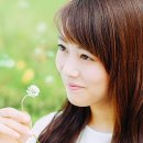 식물도감 이미지