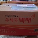 정스 스토리 이미지