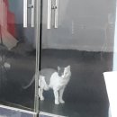 학익체육관 이미지