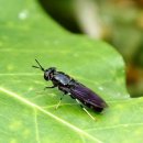 농업회사법인㈜엔토모 이미지