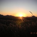 순천만여행 이미지