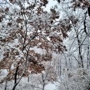 점성공원 이미지