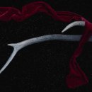 대추차의 효능과 부작용, 대추생강차까지 한 번에 알아보기 이미지