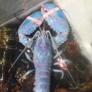 캐스코(주) 이미지