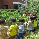 원암유치원 이미지