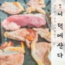 니 덕에 산다 이미지