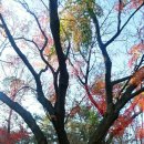 장충파출소 이미지