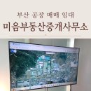 부산부동산중개사무소 | 부산 공장 매매 임대 미음부동산중개사무소