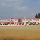 김희순농장 Daum카페