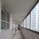 봉명청솔@ 이미지