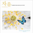 아이와이즈주 이미지