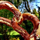 바이제로(Vi-Zero) 이미지