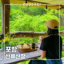 산장 | 포항 기억에 남는 인생 카페 선류산장 내돈내산 후기