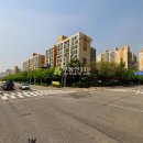 분당로263번길 이미지