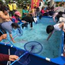 섬 왕새우축제 이미지