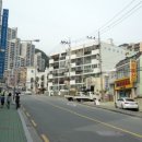 당리동-19 이미지