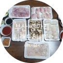 회41호