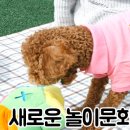 시소동물병원