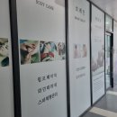 휠로스 인 채민