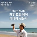 파타야 - 포항시 북구 장량로158번길 5-8 | 파타야
