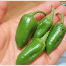 기봉농장 이미지