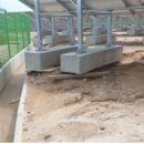 수정태양광발전소 이미지